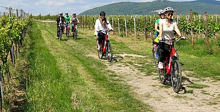 Genussradeln Pfalz